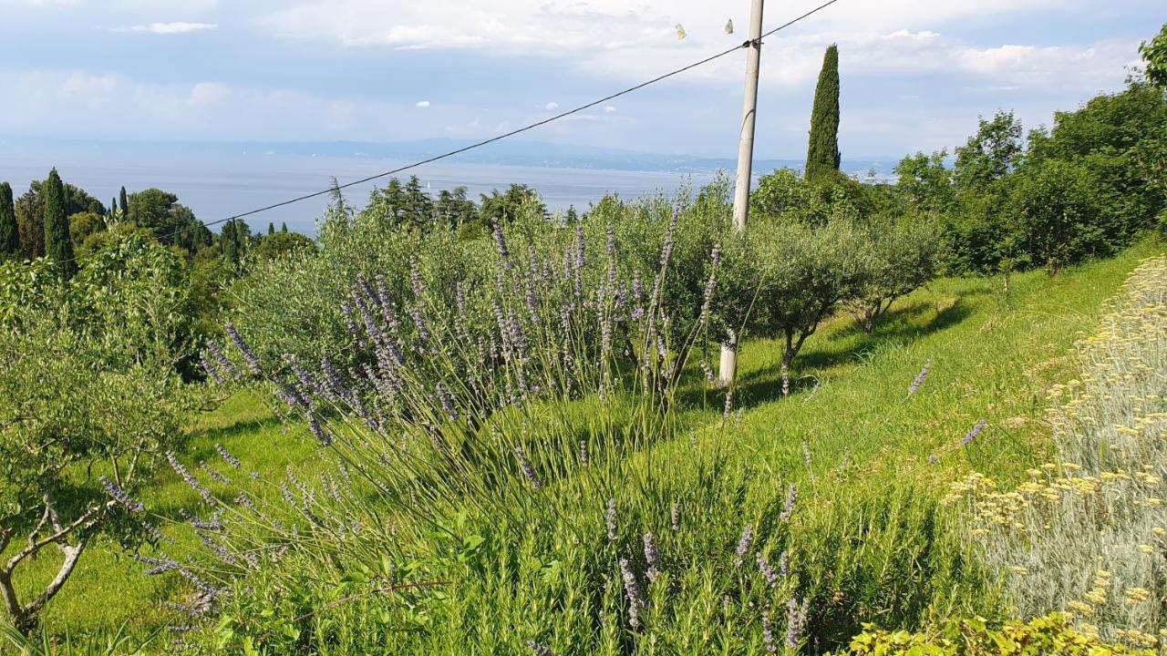 Apartments Bancic Portorož Eksteriør billede